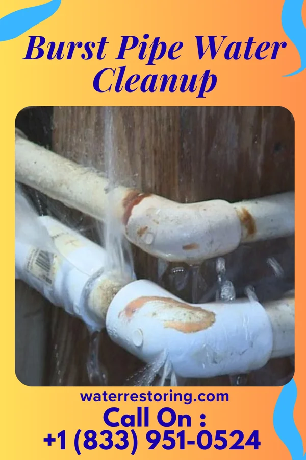 Burst Pipe Water Cleanup in Bluefield, WV