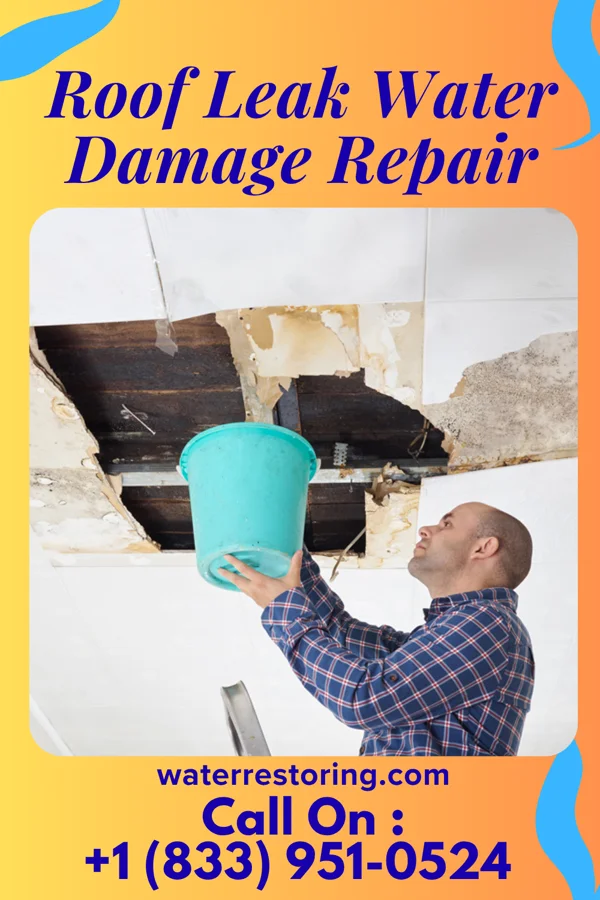 Roof Leak Water Damage Repair in Bluefield, WV