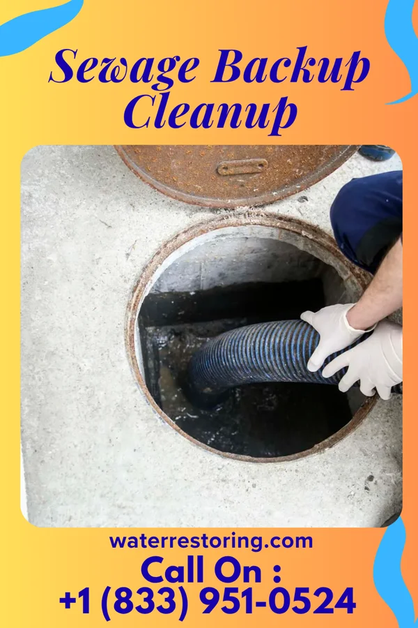 Sewage Backup Cleanup in Bluefield, WV