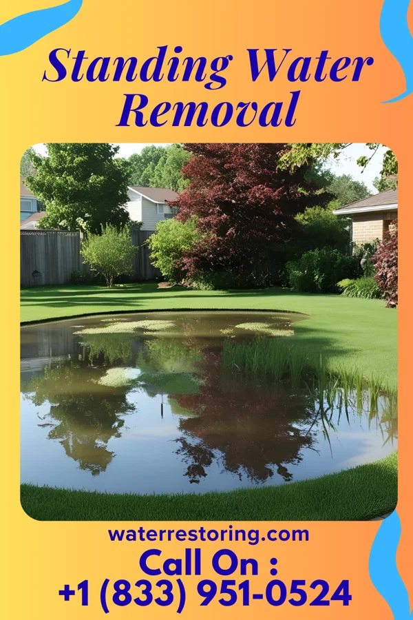 Standing Water Removal in Bluefield, WV